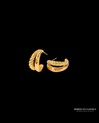 Double Hoop