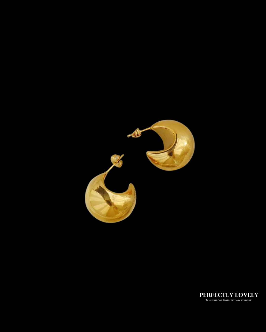 Shelley Hoops